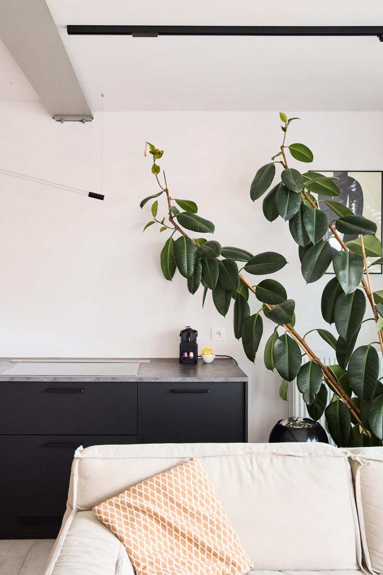 The Banker Antwerpen - Free Parking Apartment Екстериор снимка